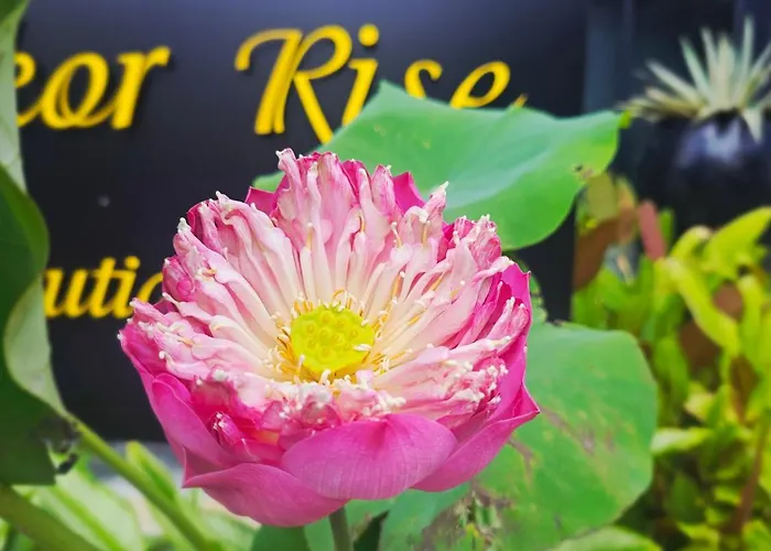 Angkor Rise Siem Reap